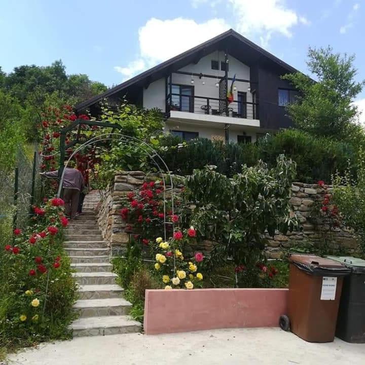 Casuta Cu Trandafiri Hotel Slanic Exterior photo